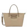 Beige Foncé