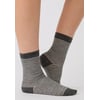 Lot Gris