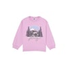 Rose Pink Lavender