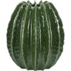 Vert Brillant