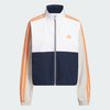 Collegiate Navy