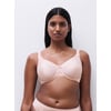 Rose Taffetas