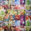 Multicouleur