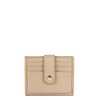 Beige Foncé