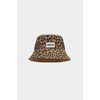 Leopard Cannelle