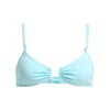 Bleu Tanager Turquoise