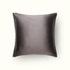 Gris Intense