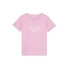 Rose Pink Lavender