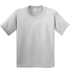 Gris Cendre