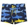Maillot de bain garçon 3 ans