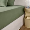 Kaki