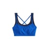 Bleu Cobalt
