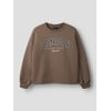 Marron - Chocolate Chip1