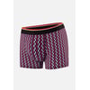 Flechette Fuchsia