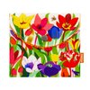 Tulipes