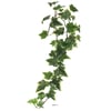 Blanc-Vert