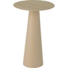 Beige Fer Écru Élégant