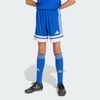 Royal Blue / White