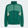 Collegiate Green / Blanch Green