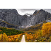 Tableau Alu Dibond