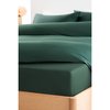 Vert Bouteille