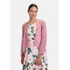 Desert Rose