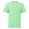 Vert Menthe