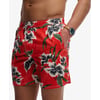 Rouge Hibiscus