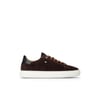 Darkbrown