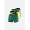 Vert Foret Jaune Anis Vert Sauge