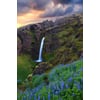 Tableau Alu Dibond