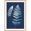 Affiche + Cadre En Bois - Chêne