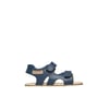 Marine-