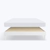 Blanc Pur