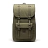 Vert Olive Foncé