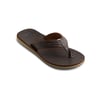 Marron Demitasse - Solid