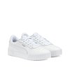 Puma carina