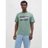 Iceberg Green