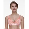 Rose Nymphea / Corail