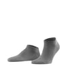 Gris Clair