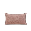 Rose Ancien