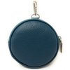 Bleu Canard