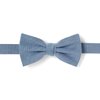 Noeud papillon bleu marine