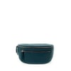 Bleu Canard