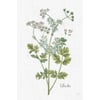 Tableau Alu Dibond