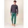 Gris Anthracite Vert Forêt