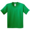 Vert Irlandais