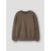 Marron - Chocolate Chip1
