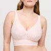 Rose - Crystal Pink