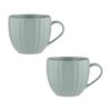 Duck egg blue